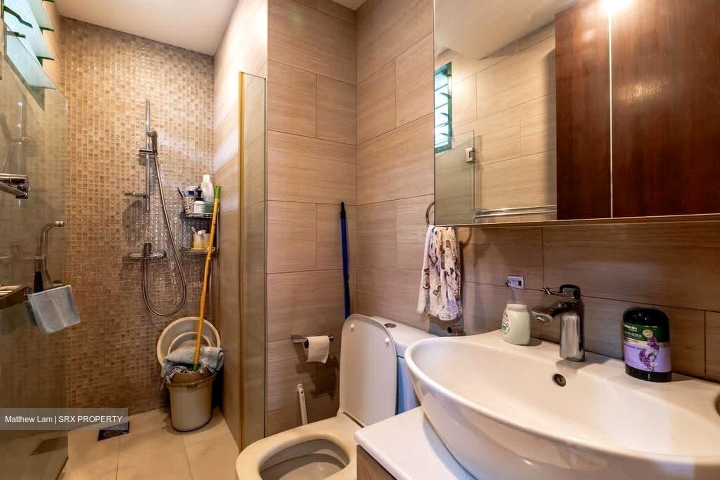 Signature Park (D21), Condominium #616918811